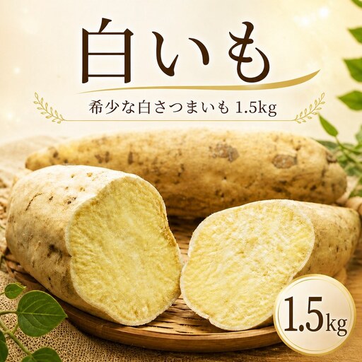 白いも 1.5kg サツマイモ 芋 旬 秋の味覚 【 さつまいも 】