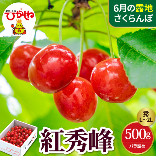 2027年産 さくらんぼ 紅秀峰 秀L〜2L 500g バラ詰め さくらんぼ