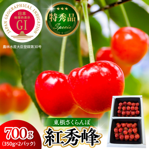 2027年産 GI 東根 さくらんぼ 紅秀峰 700g さくらんぼ