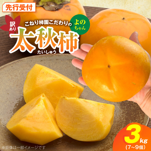 [先行受付] 訳あり 太秋柿 3kg こねり柿園こだわりの『よのちゃん太秋柿』 