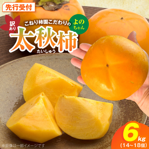 【先行受付】 訳あり 太秋柿 6kg こねり柿園こだわりの『よのちゃん太秋柿』 _KNR0408