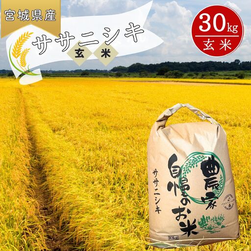 【先行予約】【令和8年産】【新米】【令和8年10月中旬～順次発送】 ササニシキ 玄米 30kg C｜ササニシキ
