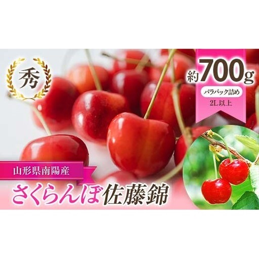 【令和9年産先行予約】 さくらんぼ 「佐藤錦」 約700g (秀 2L以上) バラパック詰め 《令和9年6月上旬～発送》 『生産者 佐藤 勇二』 サクランボ 果物 フルーツ 産地直送 [1957]