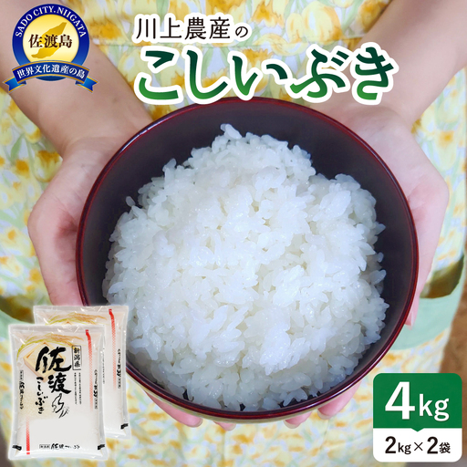 【こしいぶき 4kg】令和7年産 佐渡産こしいぶき 2kg×2袋 精米 川上農産 