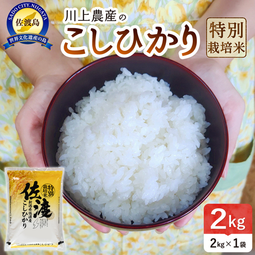 【コシヒカリ 2kg】令和7年産 佐渡産コシヒカリ 2kg 精米 少量パック 川上農産