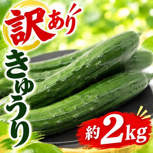 訳あり きゅうり 野菜 2キロ 2kg 胡瓜