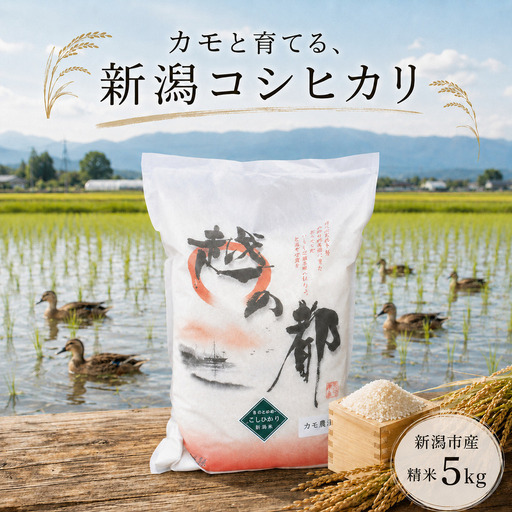 [先行予約]令和8年産 新潟県産コシヒカリ5kg カモ農法 米 精米 白米 コシヒカリ 5kg こめ コメ お米 おこめ こしひかり カモ農法 農薬不使用 化学肥料不使用 新潟 新潟県