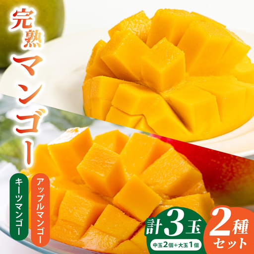 [2027年発送]マンゴーBOX(小)[アップルマンゴー中玉2個(約500g)キーツマンゴー大玉1玉(約700g)]| フルーツ くだもの 果物 マンゴー アップルマンゴー キーツマンゴー 名護パイン園 沖縄県 豊見城市