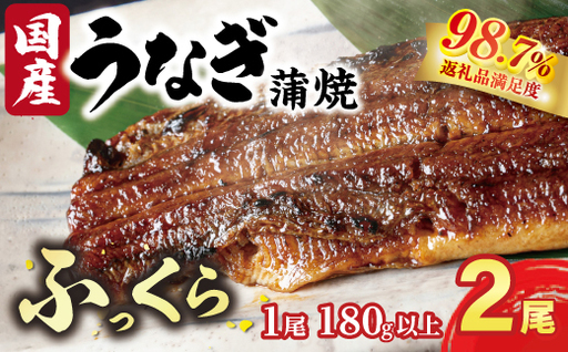 国産うなぎ 備長炭地焼き蒲焼き180g以上×2尾 タレ付き×4 定期便(計3回 2か月に1回お届け)[FU06W]