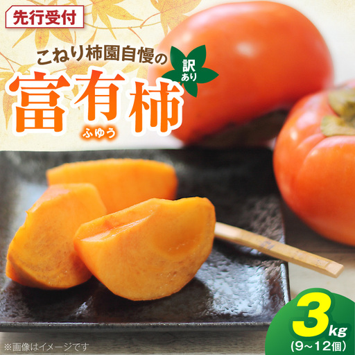 [先行受付] 訳あり 富有柿 3kg こねり柿園自慢の富有柿 