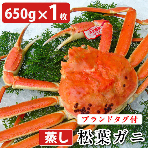 タグ付き 蒸し松葉蟹×1枚（650g前後）【鳥取県 境港市】