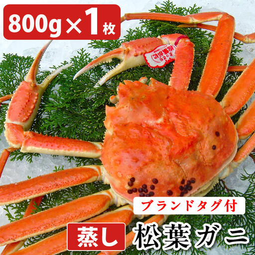タグ付き 蒸し松葉蟹×1枚（800g前後）【鳥取県 境港市】