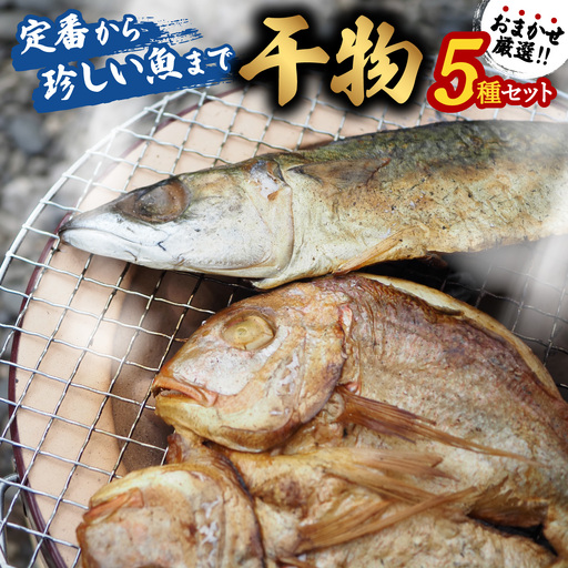 お魚の干物 ５種