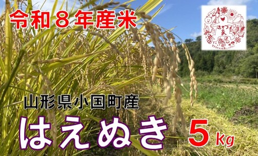 【令和８年産 新米】山形県小国町産　はえぬき5kg　きせつ家