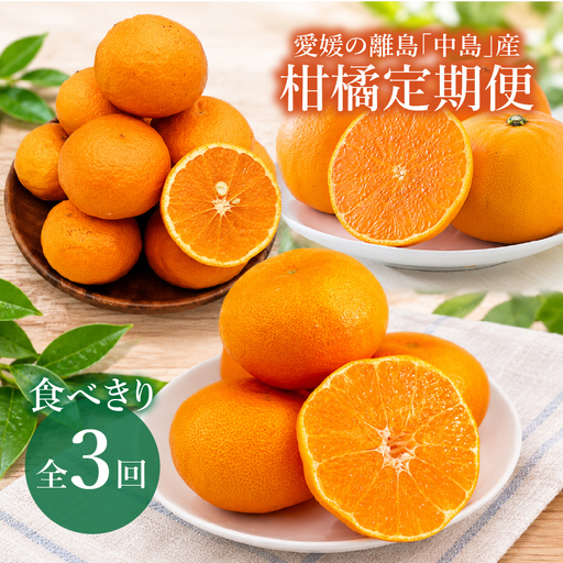 [全3回]愛媛の離島「中島」産柑橘食べきり定期便 1.5kg | 甘平 せとか カラマンダリン