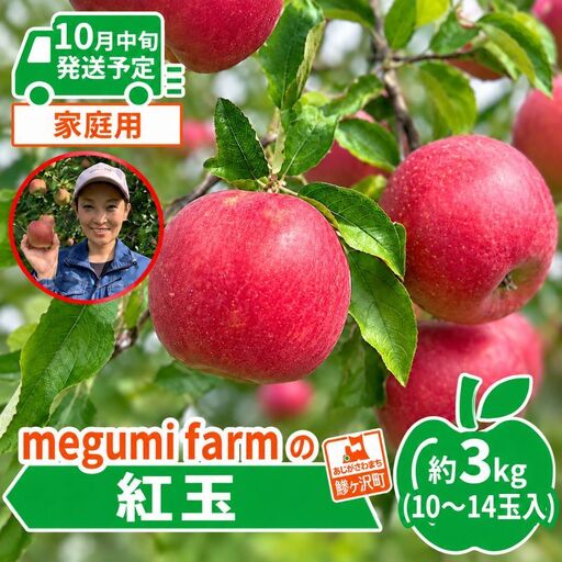 [10月中旬発送]訳あり りんご 糖度14度以上 高糖度 megumi farmの紅玉 家庭用 約3kg(10〜14玉入) 果物 フルーツ 産地直送 料理 青森県 鰺ヶ沢町