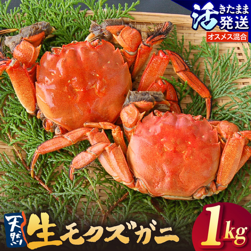 天然 活生モクズガニ 約1kg 冷蔵 74-32