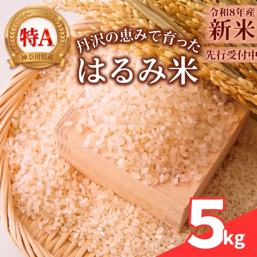お米 5kg 精米 はるみ 令和8年産  神奈川県  