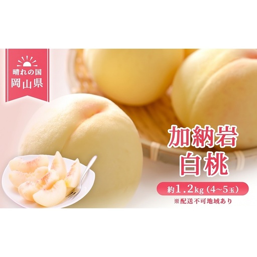 [ 2027年 先行予約] 桃 岡山県産 加納岩 白桃 約1.2kg(4〜5玉) [2027年6月下旬-7月上旬頃出荷] 白桃 岡山 はくとう スイーツ フルーツ 果物 先行予約 数量限定 期間限定 岡山 里庄町 モモ もも 桃
