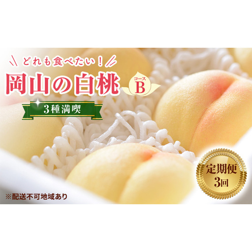 [ 2027年 先行予約] 桃 岡山県産 どれも食べたい!岡山の桃 3種 満喫 プラン 3回 コースB ( 加納岩白桃 ・ 清水白桃 ・ 白皇 各1.2kg)[2027年6月下旬-8月中旬頃出荷]白桃 数量限定 期間限定 定期便