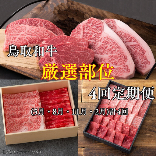 [4回定期便]鳥取和牛厳選部位