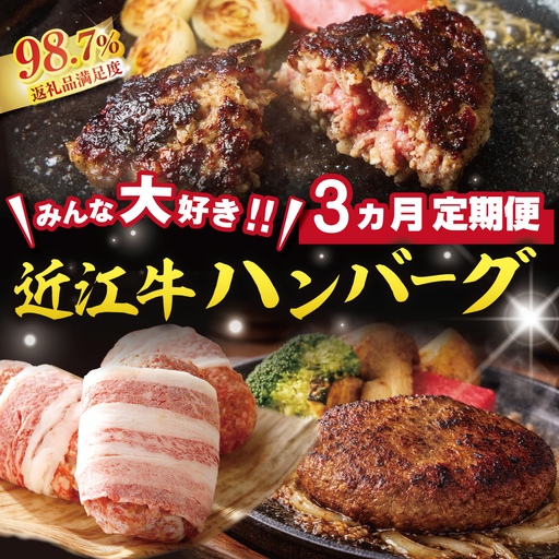 【期間限定】みんな大好き　ハンバーグ定期便【ZZ63W】