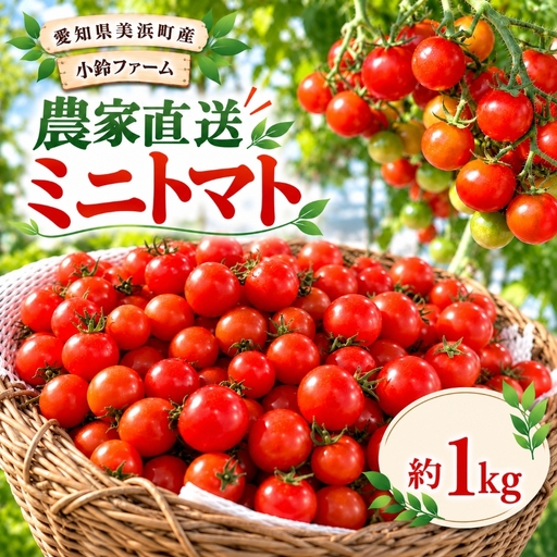 農家直送 ミニトマト 約 1kg