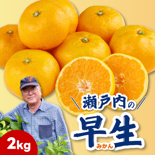 【先行受付】早生みかん2kg 2026年11月発送予定 柑橘 ミカン 果物 くだもの フルーツ 瀬戸内 251017