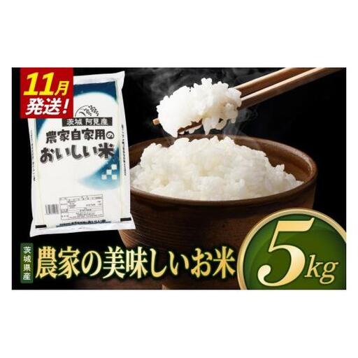 米 農家の美味しいお米 精米 5kg 令和8年産 茨城県産 阿見町産 お米 こめ コメ ごはん 白米 茨城県産米 単一米 単一原料米 安心 安全 送料無料 国産 人気 数量限定 （85-R8a073_11）
