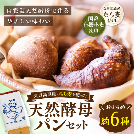 天然酵母パンセット 約6種 計約7個 もち麦食パン入り詰め合わせ|国産有機小麦・久万高原町産もち麦使用 自家製天然酵母 手づくりパン 愛媛県久万高原町