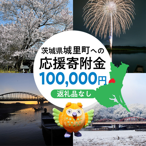 【 返礼品なし 】 茨城県 城里町 ふるさと応援寄附金 ( 100,000円 ) [ZZ005]