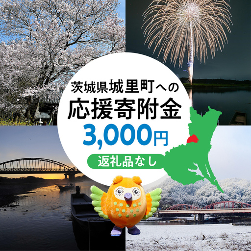 [ 返礼品なし ] 茨城県 城里町 ふるさと応援寄附金 ( 3,000円 ) [ZZ001]
