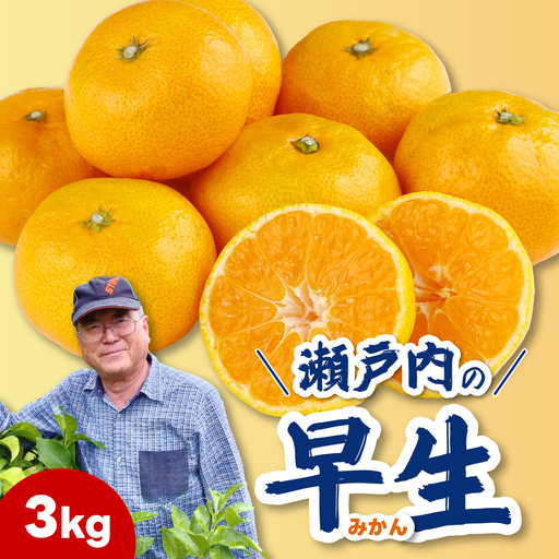【先行受付】早生みかん3kg 2026年11月発送予定 柑橘 ミカン 果物 くだもの フルーツ 瀬戸内 251018