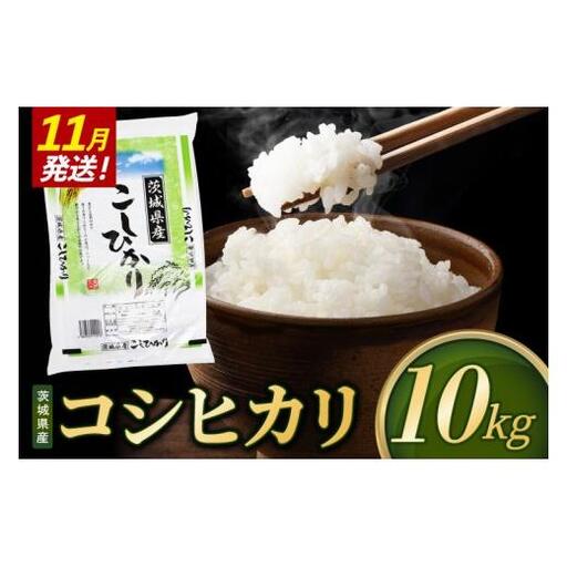 米 コシヒカリ 精米 10kg 令和8年産 茨城県産 お米 こめ コメ ごはん 白米 こしひかり 茨城県産米 単一米 単一原料米 安心 安全 送料無料 国産 人気 数量限定 （85-R8i049_11）