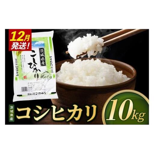 米 コシヒカリ 精米 10kg 令和8年産 茨城県産 お米 こめ コメ ごはん 白米 こしひかり 茨城県産米 単一米 単一原料米 安心 安全 送料無料 国産 人気 数量限定 （85-R8i049_12）