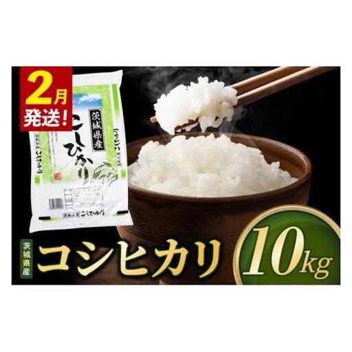 米 コシヒカリ 精米 10kg 令和8年産 茨城県産 お米 こめ コメ ごはん 白米 こしひかり 茨城県産米 単一米 単一原料米 安心 安全 送料無料 国産 人気 数量限定 （85-R8i049_02）