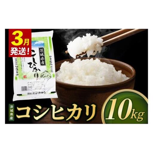 米 コシヒカリ 精米 10kg 令和8年産 茨城県産 お米 こめ コメ ごはん 白米 こしひかり 茨城県産米 単一米 単一原料米 安心 安全 送料無料 国産 人気 数量限定 （85-R8i049_03）