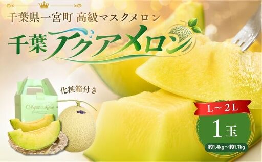 千葉県一宮町のふるさと納税でもらえるメロン・スイカの返礼品一覧