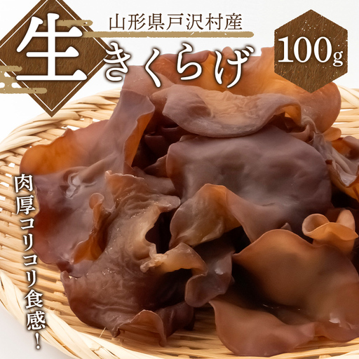 ≪2027年先行予約≫山形県 戸沢村産 生きくらげ 100g 2027年7月上旬から順次発送 国産 木耳 キクラゲ 茸 きのこ 中華 料理 食品 自宅 家庭