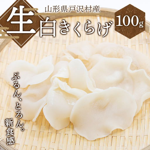 ≪2027年先行予約≫山形県 戸沢村産 生白きくらげ 100g 2027年7月上旬から順次発送 国産 木耳 キクラゲ 茸 きのこ 中華 料理 食品 自宅 家庭