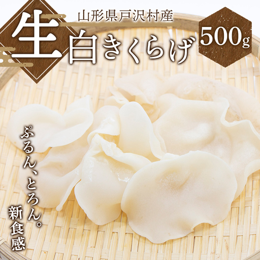 ≪2027年先行予約≫山形県 戸沢村産 生白きくらげ 500g 2027年7月上旬から順次発送 国産 木耳 キクラゲ 茸 きのこ 中華 料理 食品 自宅 家庭 F7W-0518
