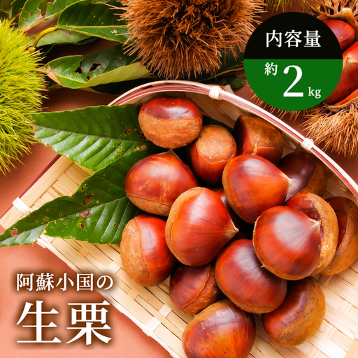 [学びやの里]生栗 阿蘇 小国産 大粒 約2kg 旬の素材 国産 熊本県産 果物 和栗 品種ミックス お取り寄せ お菓子材料 栗ご飯 チルド 冷蔵配送