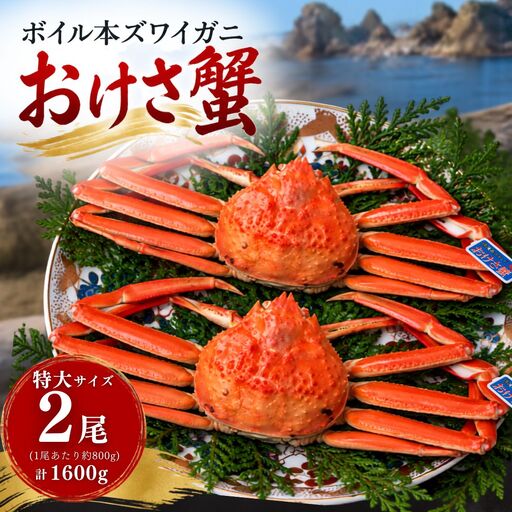 ボイル本ズワイガニ「おけさ蟹」特大サイズ 2尾(1尾あたり約800g) 約1600g