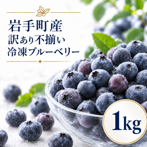 ブルーベリー 冷凍 訳あり 1kg フルーツ ベリー 果物 先行予約 2027年発送