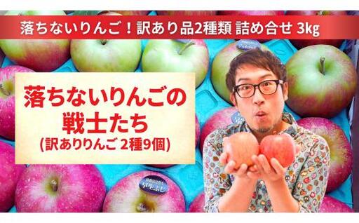 [訳あり品] 落ちないりんごの戦士たち 3kg りんご