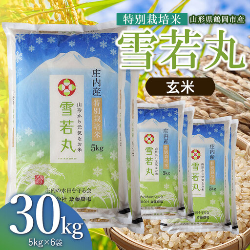 【令和8年産 新米】 特別栽培米 雪若丸 玄米 30kg（5kg×6袋） 山形県鶴岡市 K-8222 斎藤農場
