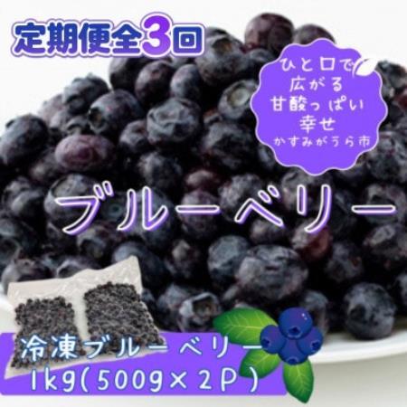 【毎月定期便】冷凍ブルーベリー1kg(500g×2パック)全3回【配送不可地域：離島】【4092938】