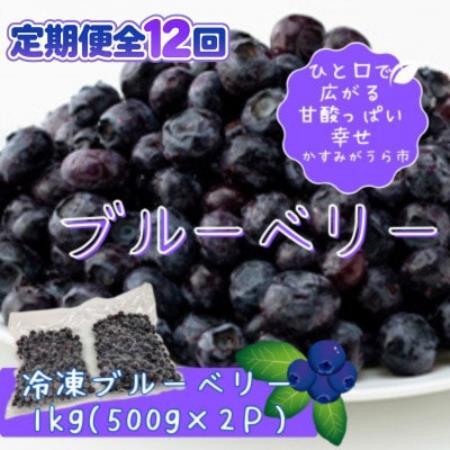 【毎月定期便】冷凍ブルーベリー1kg(500g×2パック)全12回【配送不可地域：離島】【4092940】
