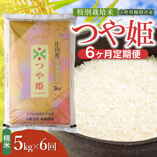 【令和8年産 新米】【定期便6ヵ月】特別栽培米 つや姫 精米 5kg(5kg×1袋) 山形県鶴岡市 K-840 斎藤農場