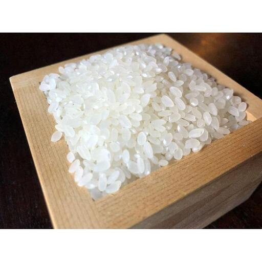 有機コシヒカリ 新米 丹波篠山の山水栽培 2kg×5袋 有機コシヒカリ